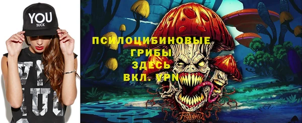 MDMA Богородск