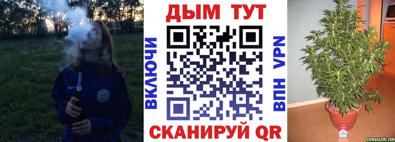 Шишки марихуана план  Архангельск 